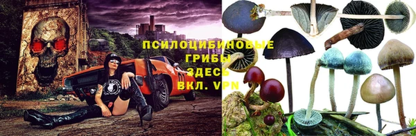 не бодяженный Горнозаводск